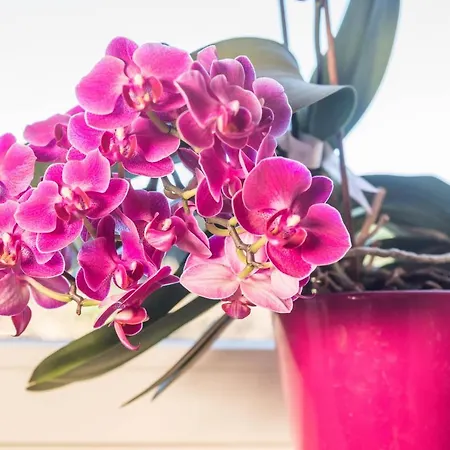 דירה Marschall אכברג