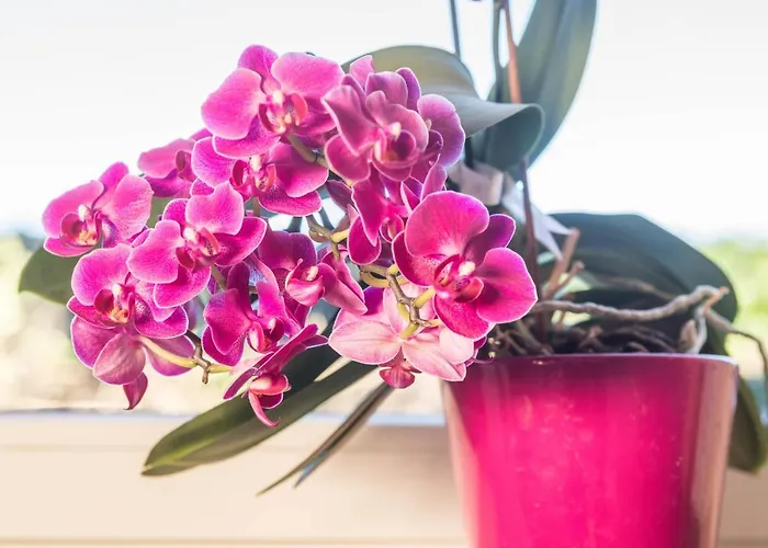 Daire Marschall Achberg